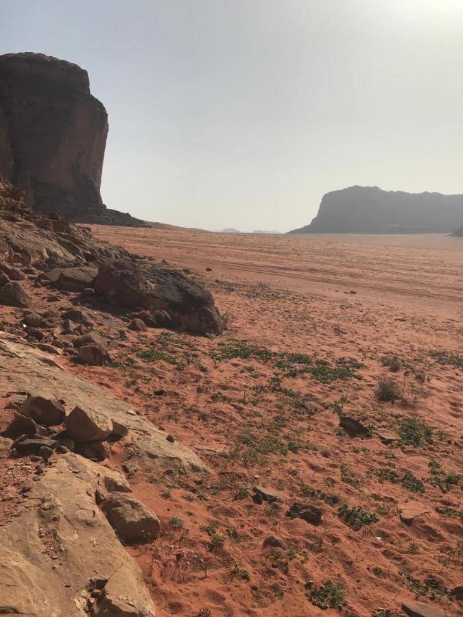 Bedouin House Camp Wadi Rum Exterior foto